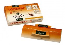 Copyrtrap_4edf48fd03b43.jpg